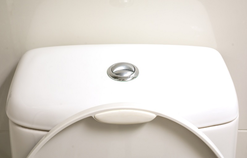 The metal button on back of toilet with normal and water-saving buttons